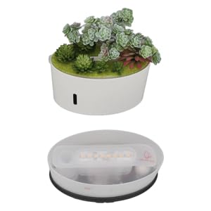 Simulation Plant Humidifier, 200ML Quiet Air Humidify Automatic Power Off Diffuser Portable Mini Humidifier for Baby Room Office Bedroom (US Plug)