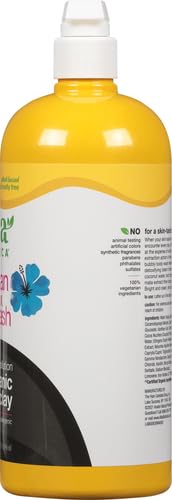 Alba Botanica Hawaiian Detox Body Wash, Anti-Pollution Volcanic Clay, 32 Oz