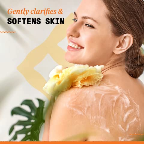 Alaffia Authentic African Black Soap Variety 2-Pack – All-In-One Liquid Soap, Travel-Size Eucalyptus Tea Tree + Pump Bottle Unscented Body Wash, Face Wash, Shampoo, Shaving Soap