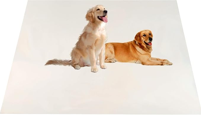 CAI TENG Fleece Throw Blankets Lightweight Warm Soft Cozy Kids Blanket Pet-Friendly Bulk Fleece Blanket Solid for Home, Bed, Sofa, Dorm, Office, Gifts, Outdoor Off-White 6 Pack 50 x 60 inch