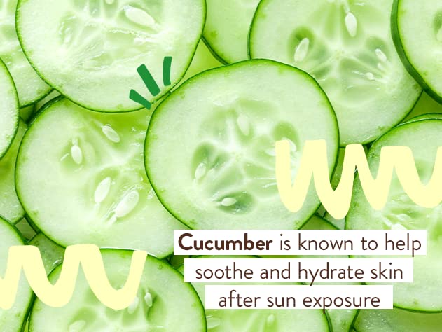 Babo Botanicals After Sun Soothing Mist - Aloe Vera & Cucumber - For Face, Body & Sensitive Skin - Non-Aerosol - No-touch application - EWG Verified - Alcohol-Free - Scented with cucumber extract