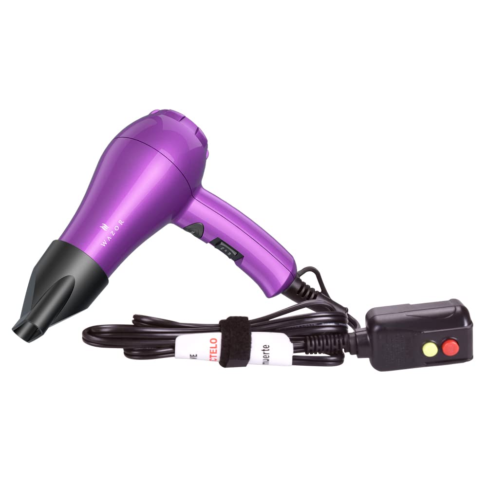 Lightweight Mini Hair Dryer for Pour Painting & RV Compact Travel Blow Dryer for Kids 1000W Ionic Dryer with Concentrator Cool Shot Button