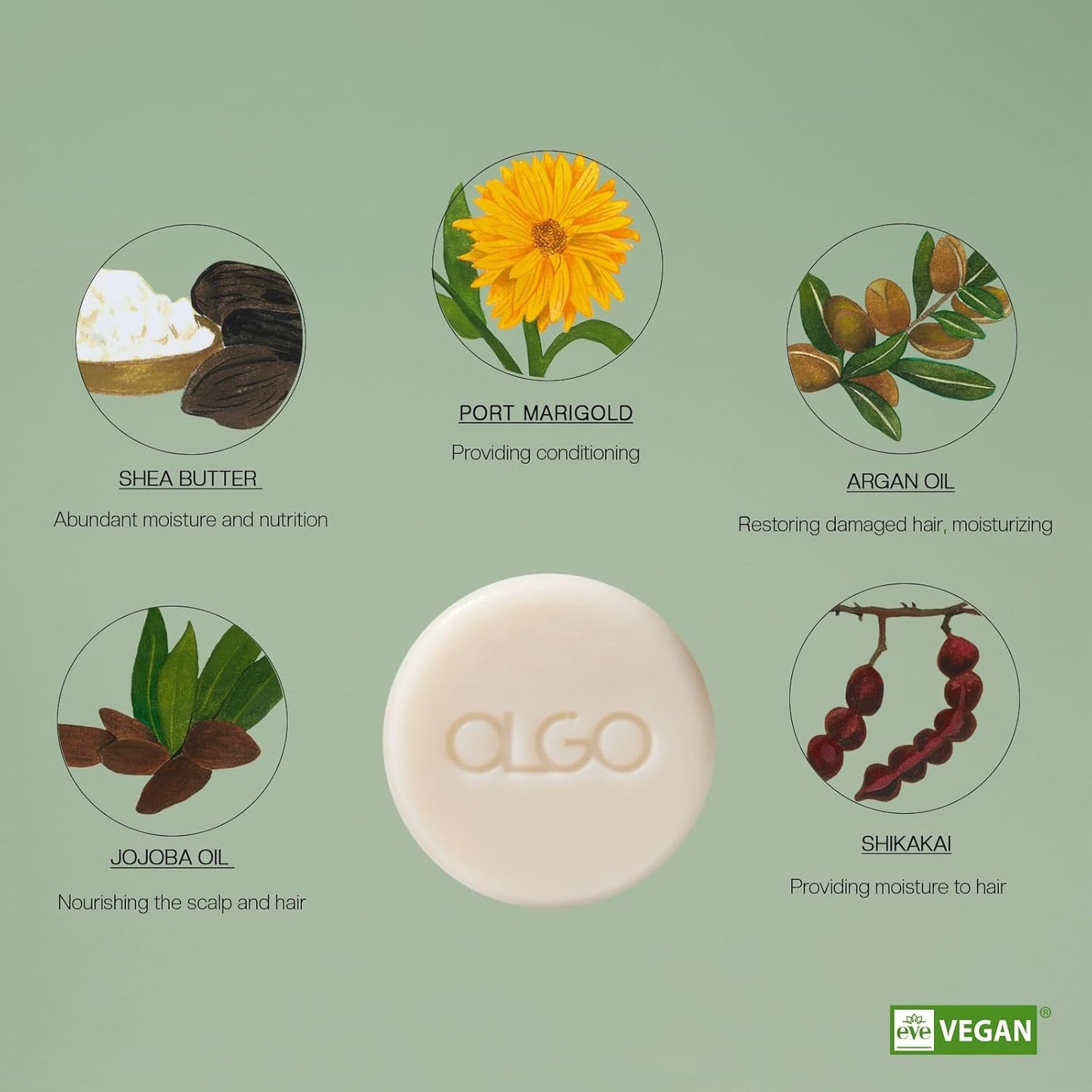 KSBC OLGO Botanic Conditioner Bar 2.8oz - Vegan, Sulfate-Free, Silicone-Free | Sustainable | Nourishing Argan, Jojoba, Shea Butter & Bergamot for Shiny, Healthy Hair