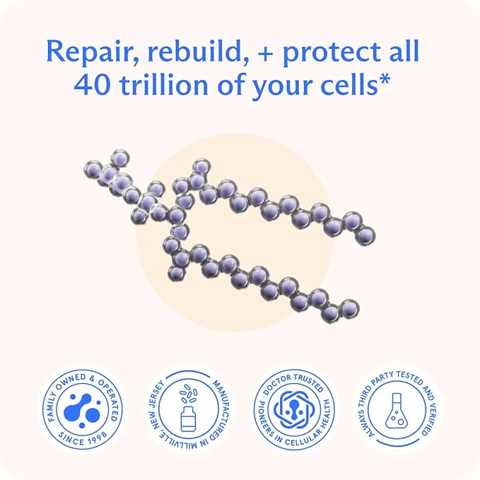 BodyBio PC - Phosphatidylcholine for Brain Health, Mental Clarity, Cognitive Function, Cellular Repair & Healthy Aging, Phospholipid Complex Supplement for Gentle Daily Detox