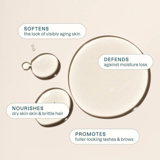 Cliganic Organic Castor Oil, 100% Pure (2oz Glass Bottle with Eyelash Kit) - For Eyelashes, Eyebrows, Hair & Skin (Packaging May Vary)