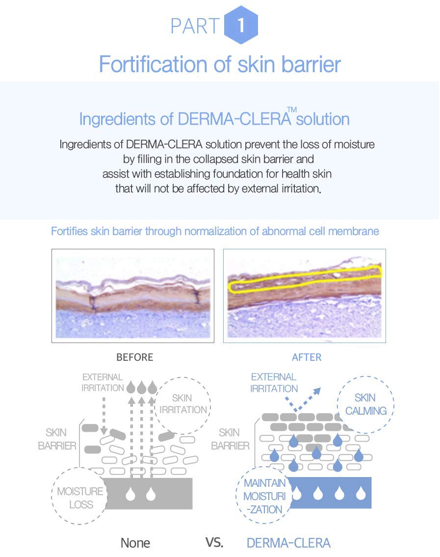 Blanc Doux Oligo Hyaluronic Acid Calming Cream 1.69 fl. oz. - VEGAN Certified - Greatly Moisturizing Cream for Sensitive, Dry Skin with Hyaluronic Acid Deep Hydrating, Soothing - Best Korean Skin Care