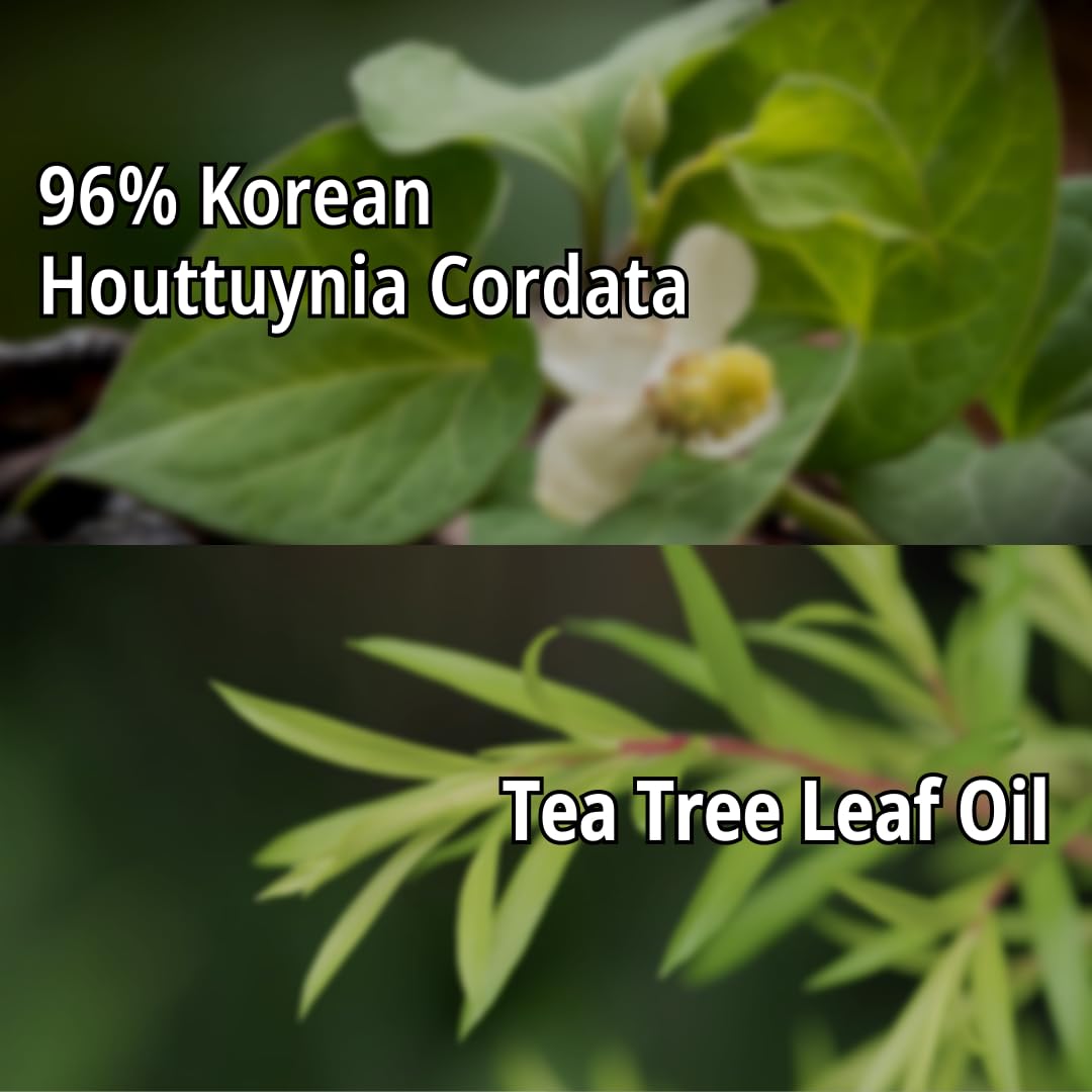 daymellow Heartleaf 96% Soothing Gel Houttuynia Cordata Real 10.58fl.oz/300g, Acne, Soothes, Redness Facial Soothing Gel Korean Skincare, Sunburn Moisture, Soothing and Calming, After Suncare, Cooling