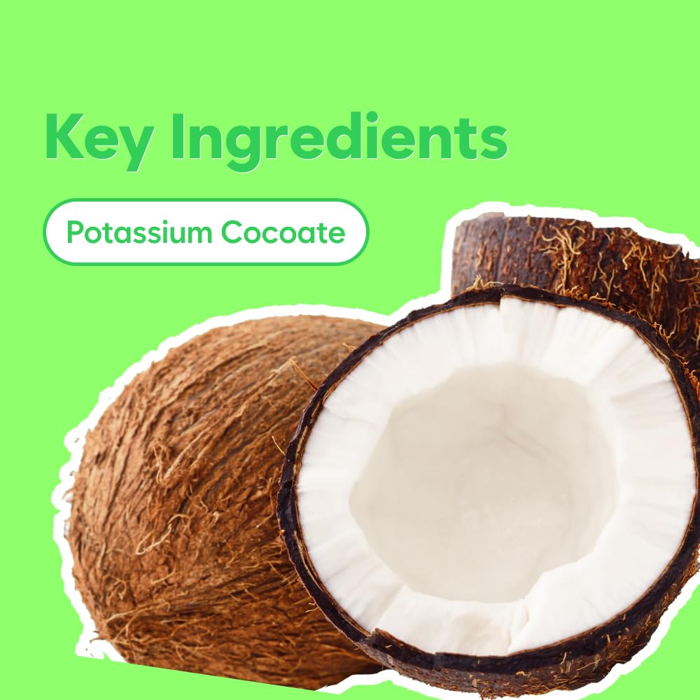 ChungMiJung Alkalescent Aloe Cleansing Foam, Deep Cleansing Foam, Blackhead Remover,Mildly Alkaline, Potassium Cocoate, All Skin Types, Korean Skin Care 6.7 fl.oz / 200ml