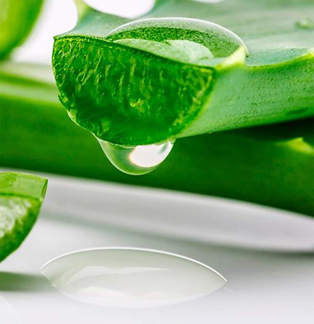 Sun Laboratories by Giesee Aloe Vera Ice Gel - Pure Organic Aloe Vera Gel, After Sun Lotion with Aloe for Sunburn Relief, Natural Aloe Vera Gel for Sunburn Recovery, Soothing Aloe Vera