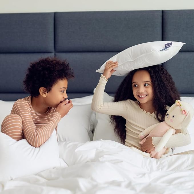 Lincove Canadian Down Feather Travel Pillow Pack of 2 - Luxury Pillows to Support Head, Neck, While Sleeping on Airplanes, Cars, Hotels & Home - Comfortable Vacation Sleeping Essential, 13"x18"