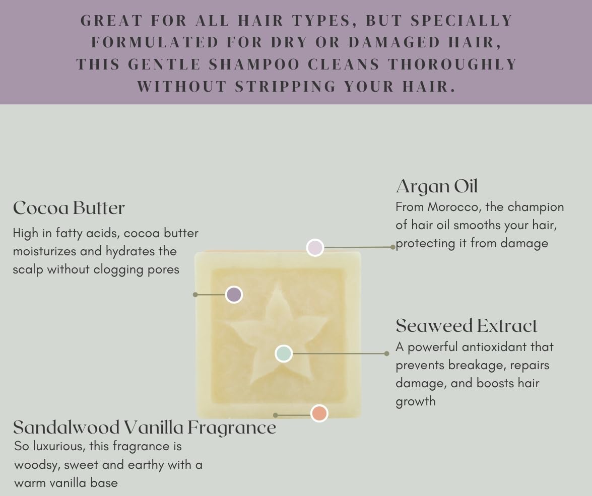 StarBars Protect Shampoo Bar - For Dry, Delicate or Color Treated Hair - Sandalwood Vanilla - With Argan Oil - Sulfate-Free, Silicone-Free, No Parabens or Phthalates - Made in the USA - 2.5oz
