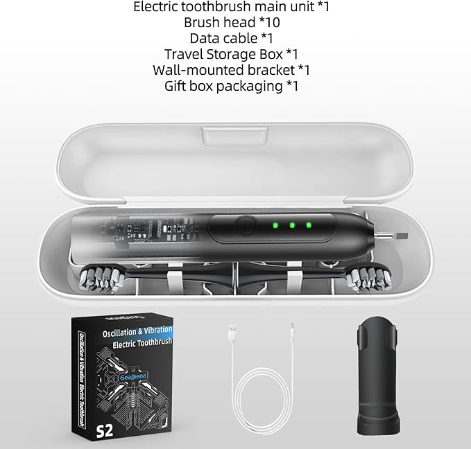 Adult Sonic Electric Toothbrush with 10 Brush Heads, Travel case, and Wall Bracket, Suitable for Both Adults and Children, IPX8 Waterproof, USB Charging, 42000VPM, Black