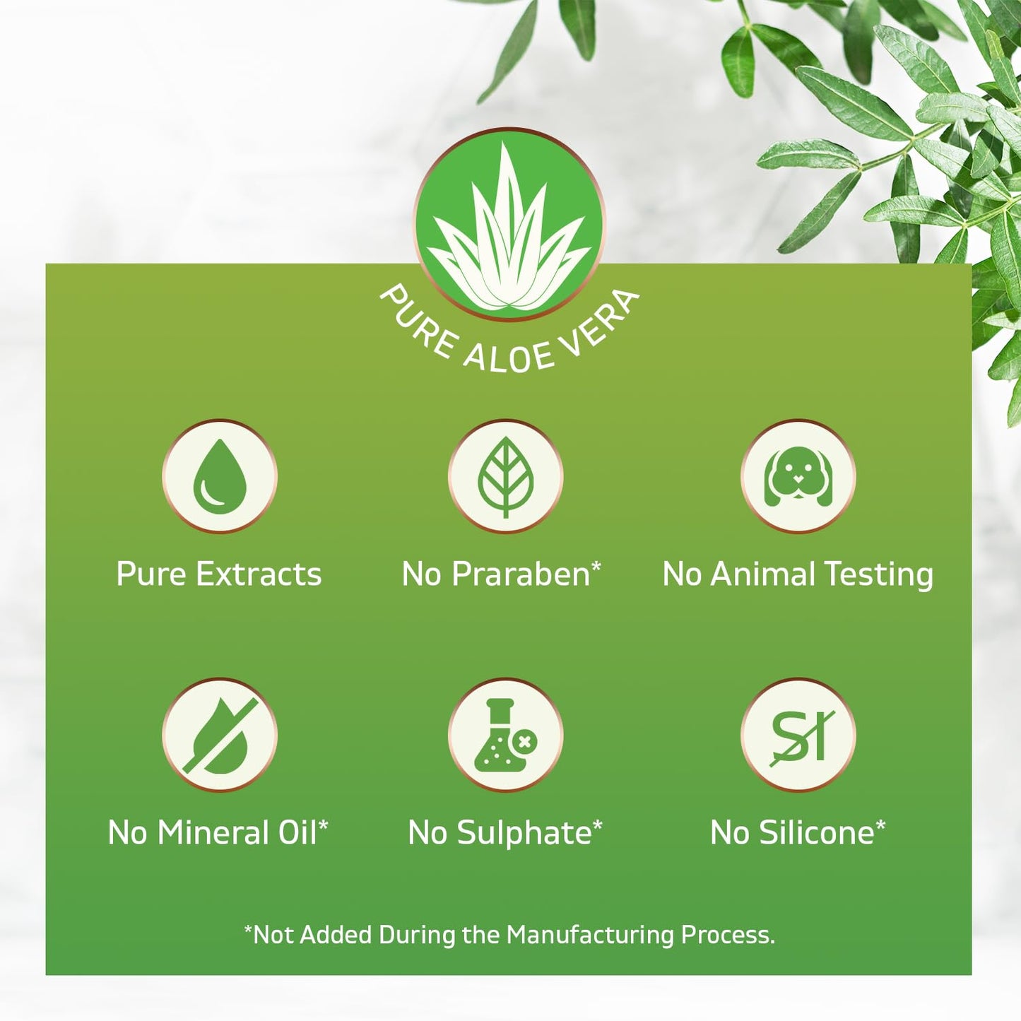 Belleza Solutions Aloe Vera Soothing Gel from freshly cut 100% Pure Aloe - Big 12oz - Vegan, Unscented - For Face, Skin, Hair, Sunburn relief (Unflavored)