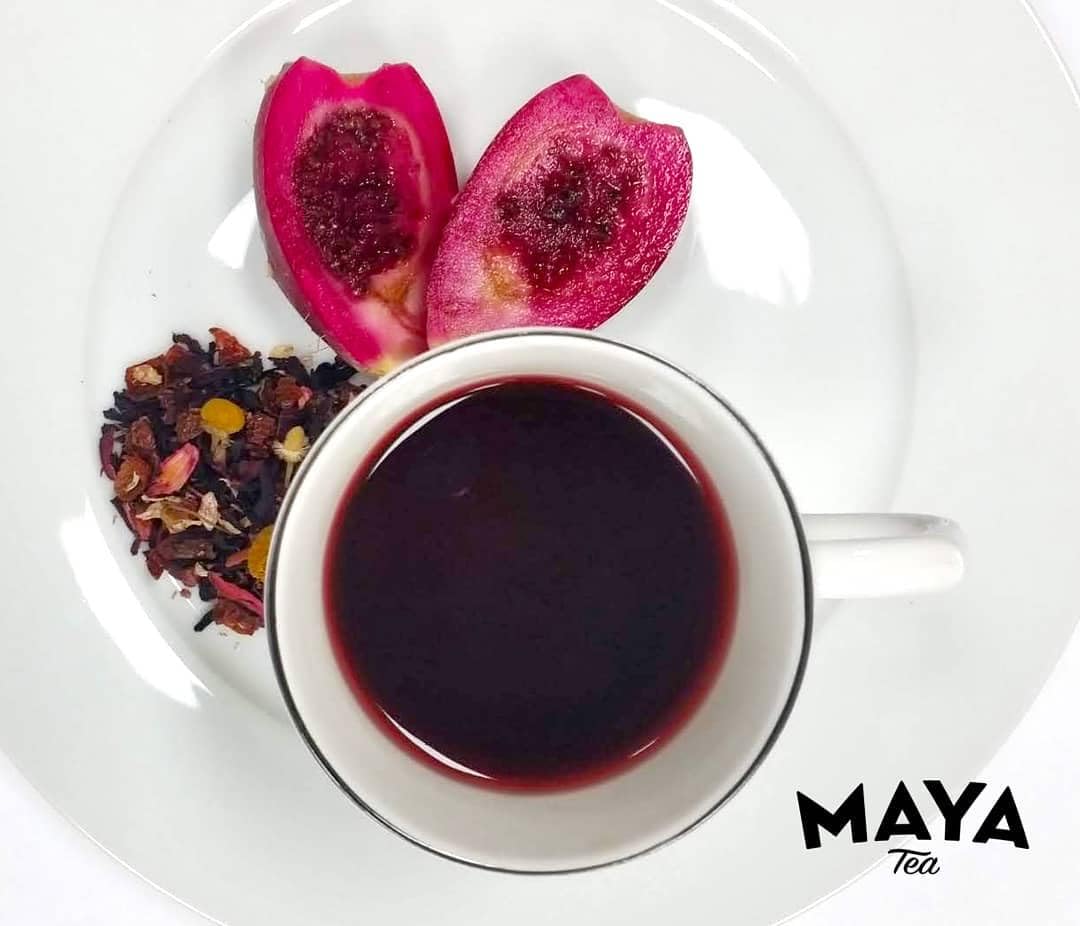 Maya Tea Prickly Pear Herbal Tea Sachets, No Caffeine, All Natural, Pack of 20