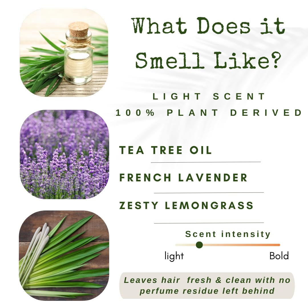 /liv/ Nature Conditioner Bar Detangle, Strengthen & Moisturize | Paraben Free & Sulfate Free | Travel Essentials | Handmade In USA (Tea Tree with Lavender & Lemongrass)