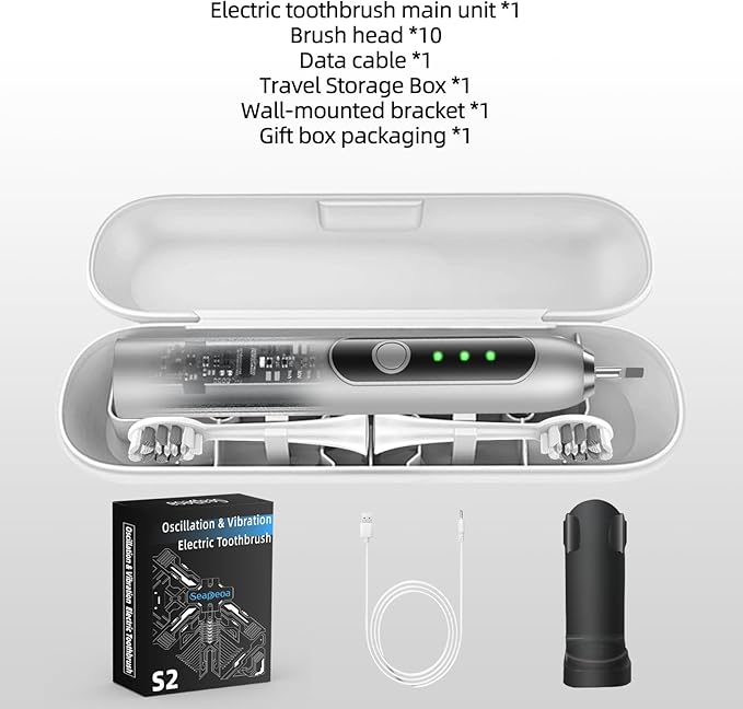 Adult Sonic Electric Toothbrush with 10 Brush Heads, Travel case, and Wall Bracket, Suitable for Both Adults and Children, IPX8 Waterproof, USB Charging, 42000VPM, Silver