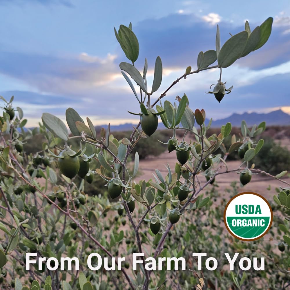 Desert Oasis Skincare | USDA Certified Organic Jojoba Oil – 100% Pure, Cold Pressed, Natural Moisturizer for Face, Hair, Skin, Nails, Tattoos & Piercings – Travel Size (1 fl oz / 29 ml)