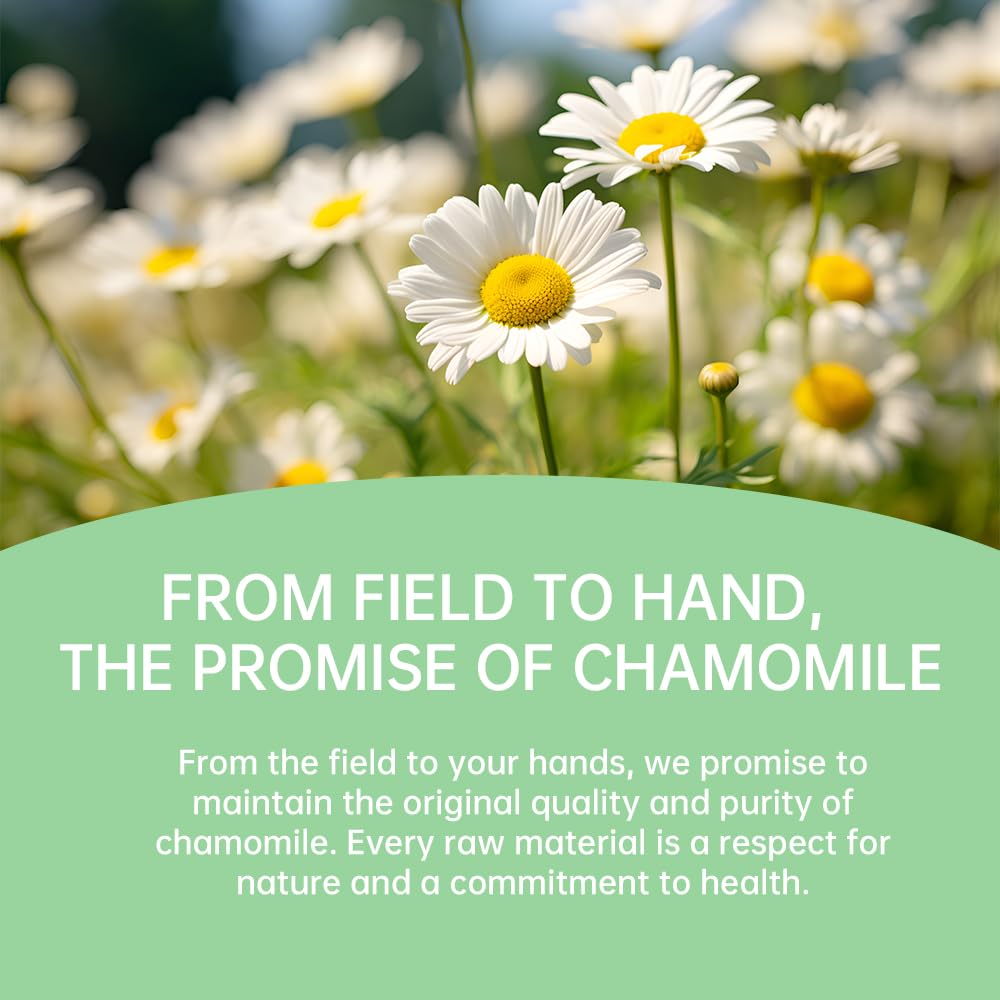 HANFANGLING Chamomile and Lavender Herbal Tea Stress Relief Support Sleep - Savor the Floral Scent 20 tea bags 0.85oz