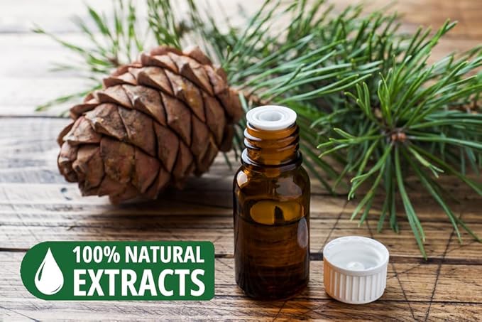 Bless-Cedar 100%-Natural-Handmade-Hand-Dipped-Incense-Sticks Organic-Chemicals-Charcoal-Free Purification-Relaxation-Positivity-Yoga-Meditation Best-Woods-Scent (100 Sticks(5.25 OZ))