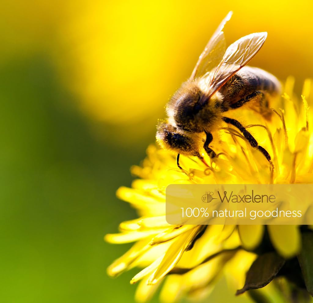 Waxelene Original Aerated Balm, Travel Jar, Organic Multipurpose Ointment the Petroleum Jelly Alternative Eczema Dry Sensitive Skin Face Moisturizer