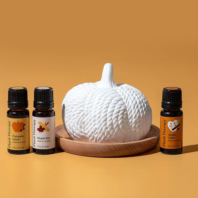 Plant Therapy Pumpkin Passive Diffuser for Fall, Porous, Unglazed Pumpkin & Natural Beech Wood Base, Add Essential Oils for a Soft Scent, Fun & Cheerful Holiday Décor
