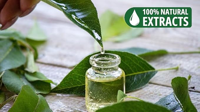 Bless-Green-Tea-Incense-Sticks 100%-Natural-Handmade-Hand-Dipped-Incense-Sticks Organic-Chemicals-Charcoal-Free Purification-Relaxation-Positivity-Yoga-Meditation Best-Woods-Scent (500 Sticks(26 OZ))