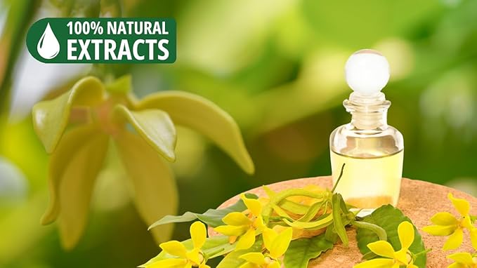 Bless-YLANG-YLANG 100%-Natural-Handmade-Hand-Dipped-Incense-Sticks Organic-Chemicals-Charcoal-Free Purification-Relaxation-Positivity-Yoga-Meditation Best-Woods-Scent (500 Sticks(26 OZ))