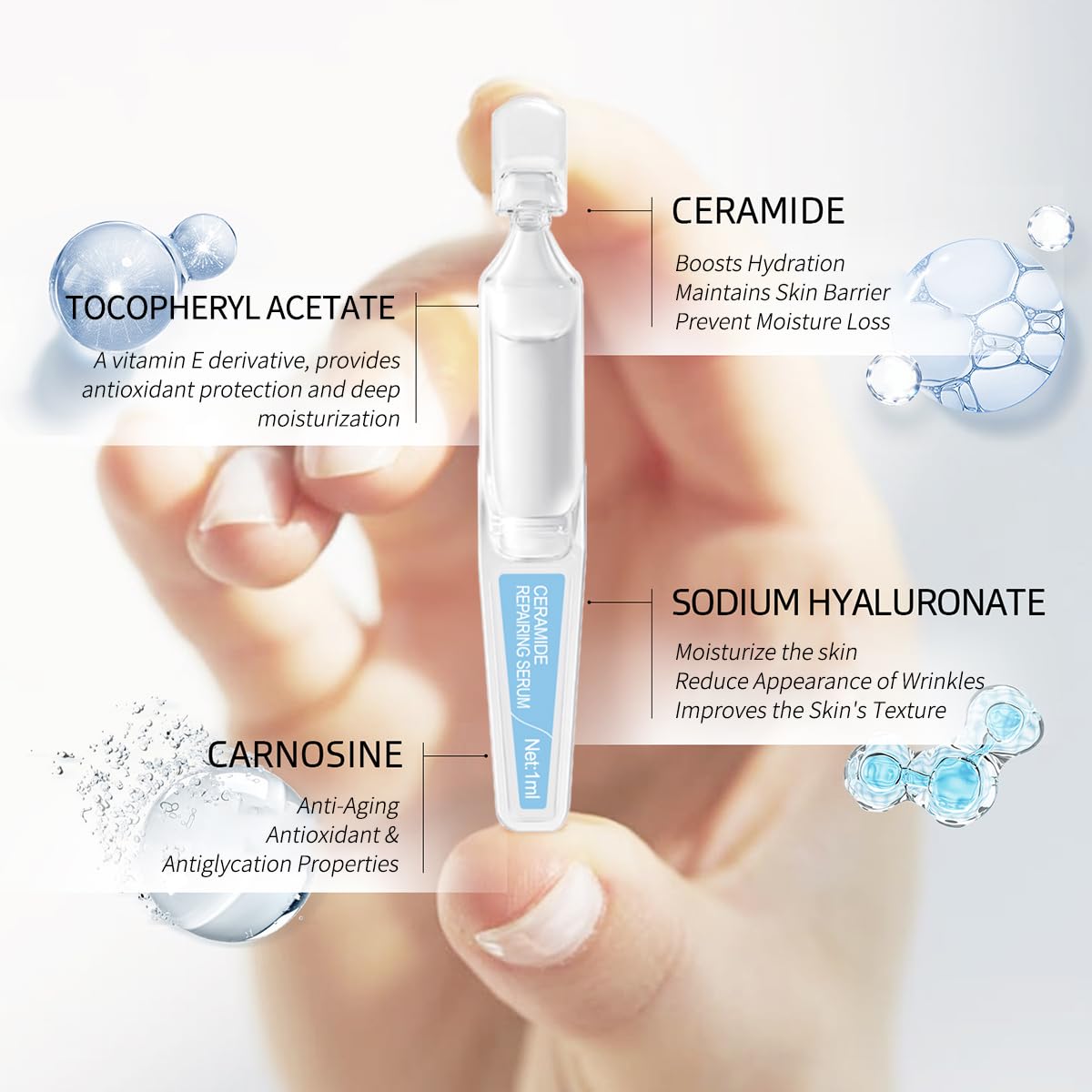 Repairing & Hydrating Face Serum with Ceramide NP, Hyaluronic Acid, Carnosine & Vitamin E | Moisturizing Ampoules for All Skin Types | Anti-Aging & Soothing Serum, 15 Pcs/Box