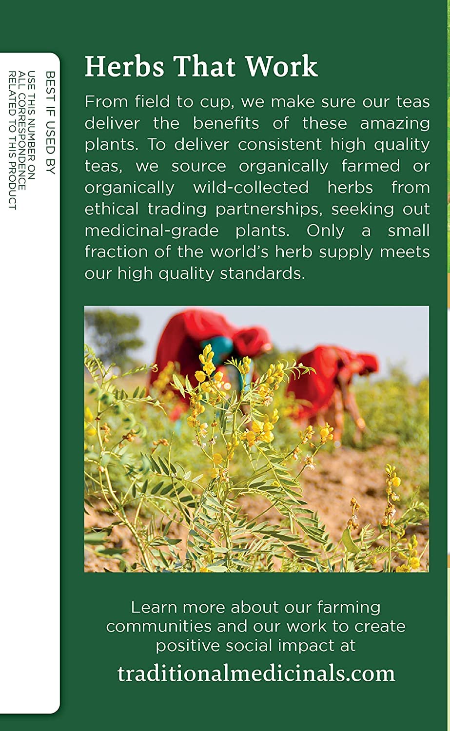 Traditional Medicinals Tea, Organic Dandelion Leaf and Root Tea, 16 Bags (Pack of 2)