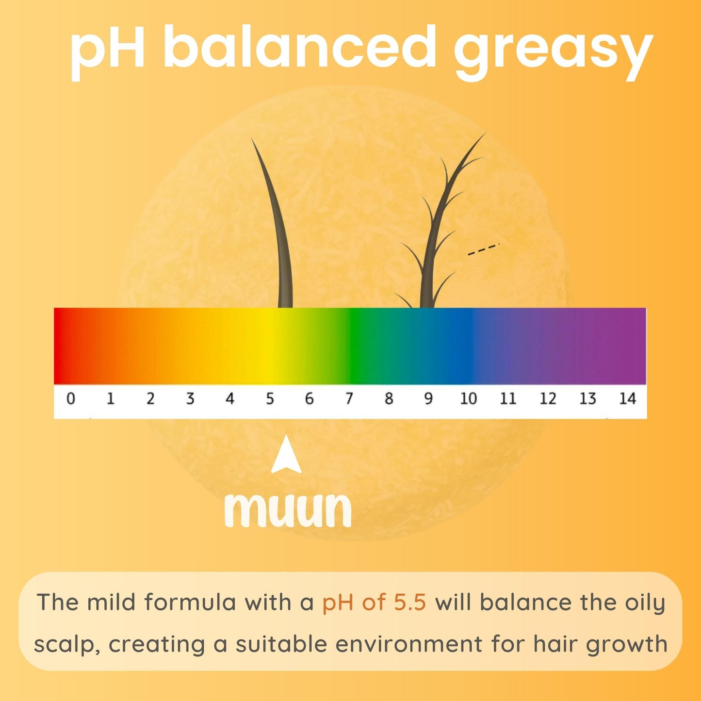 Muun Ginger Shampoo and Conditioner Bar Pack 3 - Hair Growth & Regrowth, Anti Hair Loss, Strengthen & Volumize, pH Balanced - Sulfate & Silicone Free For All Hair Type - Solid Soap for Travel