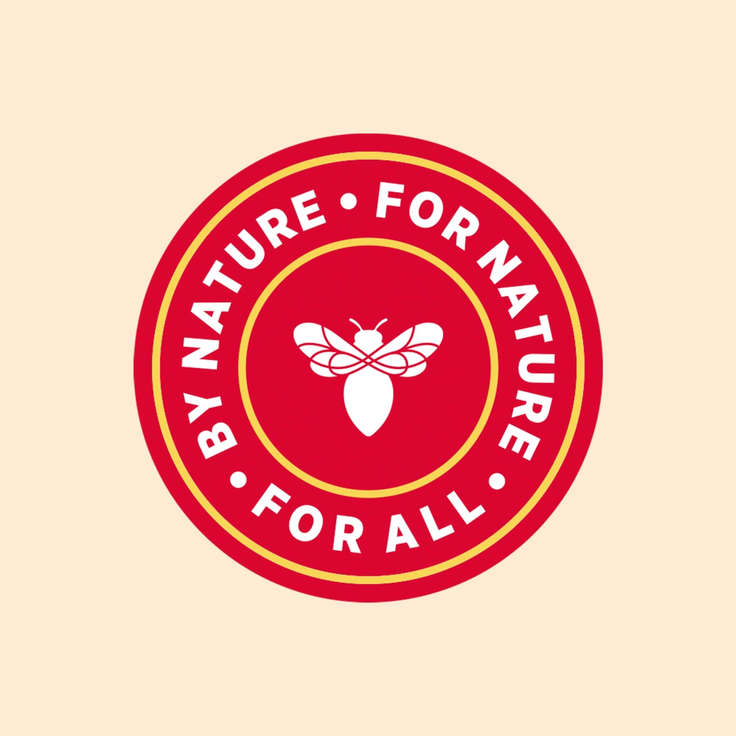 Burt's Bees Gifts Ideas - Essential Everyday Beauty Set, 5 Travel Size Products - Deep Cleansing Cream, Hand Salve, Body Lotion, Foot Cream and Lip Balm