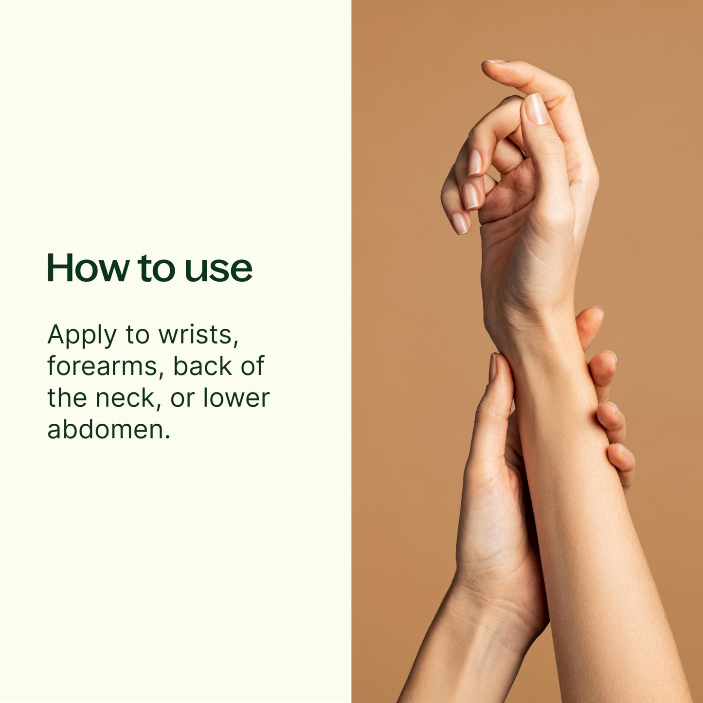 Plant Therapy Balance Essential Oil Blend 10 mL (1/3 oz) Pre-Diluted Roll-On 100% Pure, Therapeutic Grade