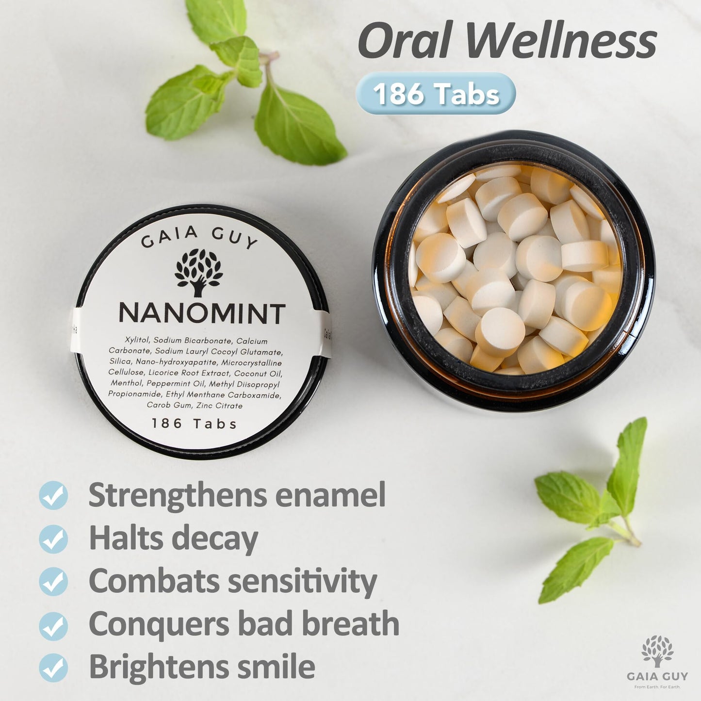 Gaia Guy | NanoMint Fluoride Free Toothpaste | Nano-Hydroxyapatite Remineralizing Toothpaste Tablets - Nano Hydroxyapatite (nHA), Plastic Free, Eco-Friendly Glass Jar | 186 Tabs