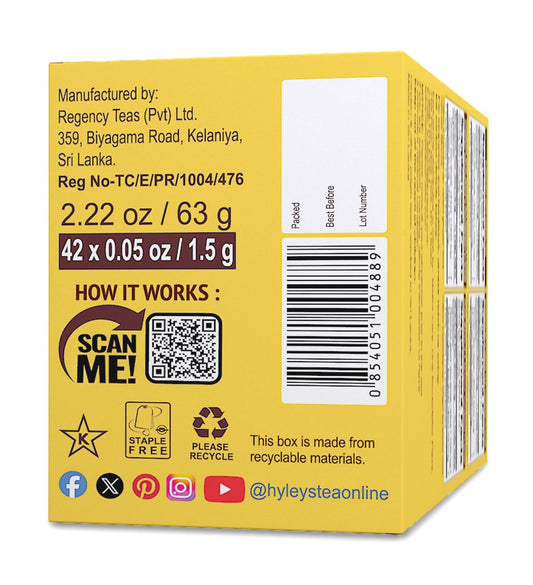 Hyleys Turmeric Tea - Assorted Flavors - 42 Tea Bags - Wellness Herbal Supplement