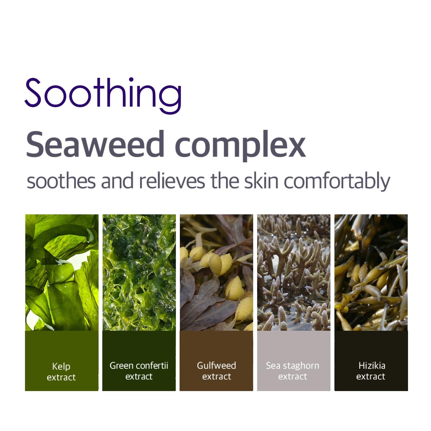 Petitfee Agave Cooling Hydrogel Eye Mask 60ea (30pairs) - Quick Calming Eye Patches with Blue Energy Complex, Agave, Blueberry, Eggplant, Caffeine Extracts, Moisturizing, Soothing Eye Care