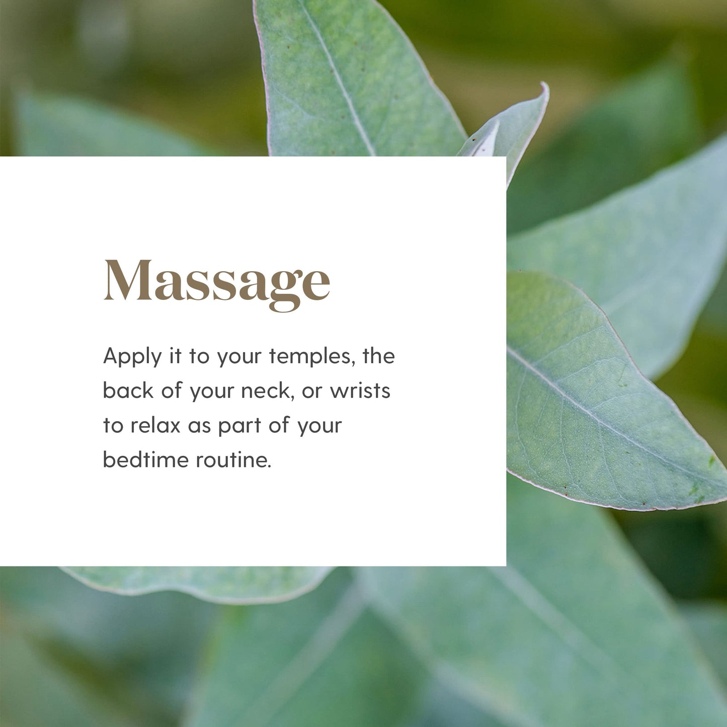 Tranquil Essential Oil Roll On 10 ml by Young Living Essential Oil