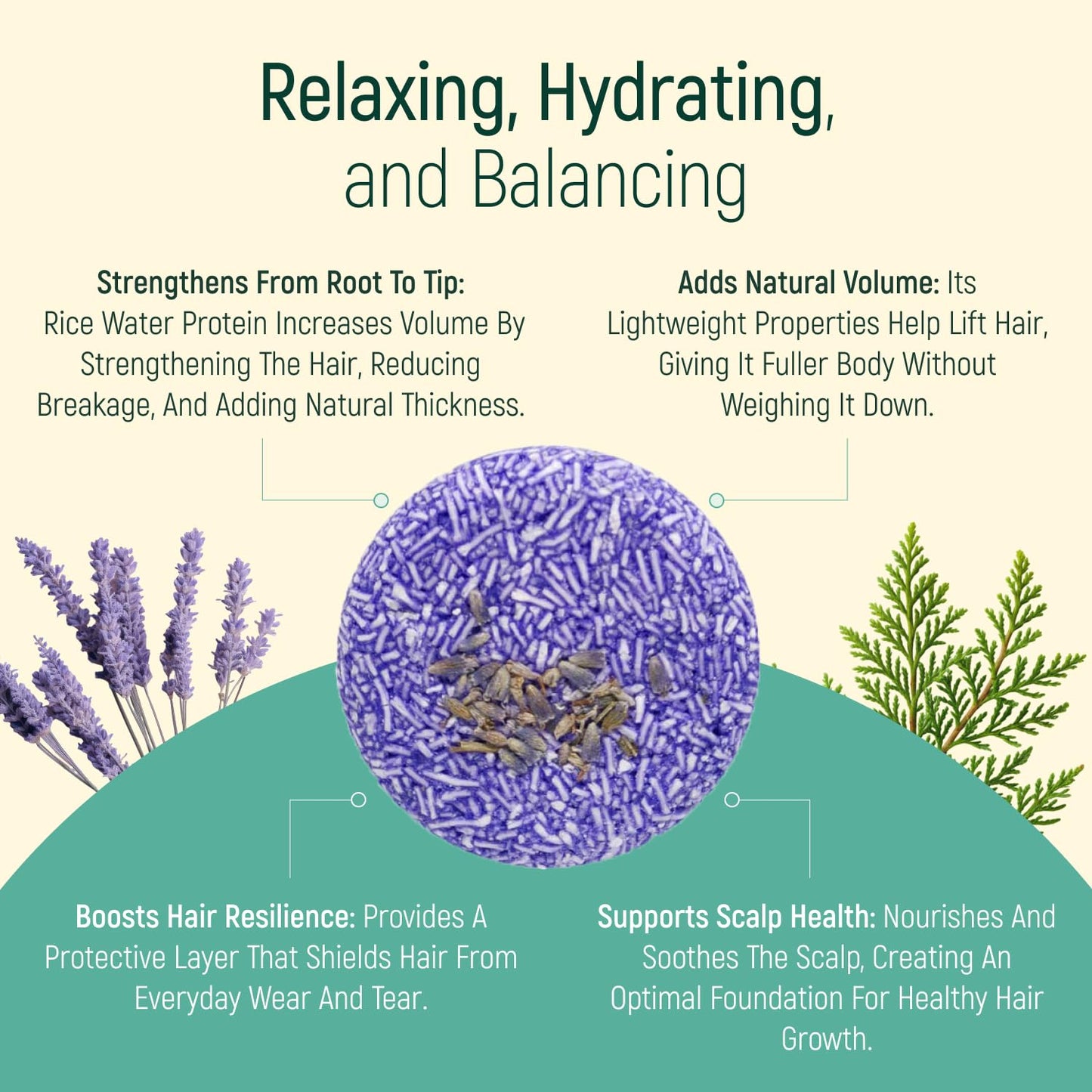 Solid Shampoo Bar And Conditioner Effect Hair Soap – 100% Organic Shampoo Bars For Hair With All Natural Plant Based Essential Oils And Zero Waste Biodegradable Packaging (Lavender)