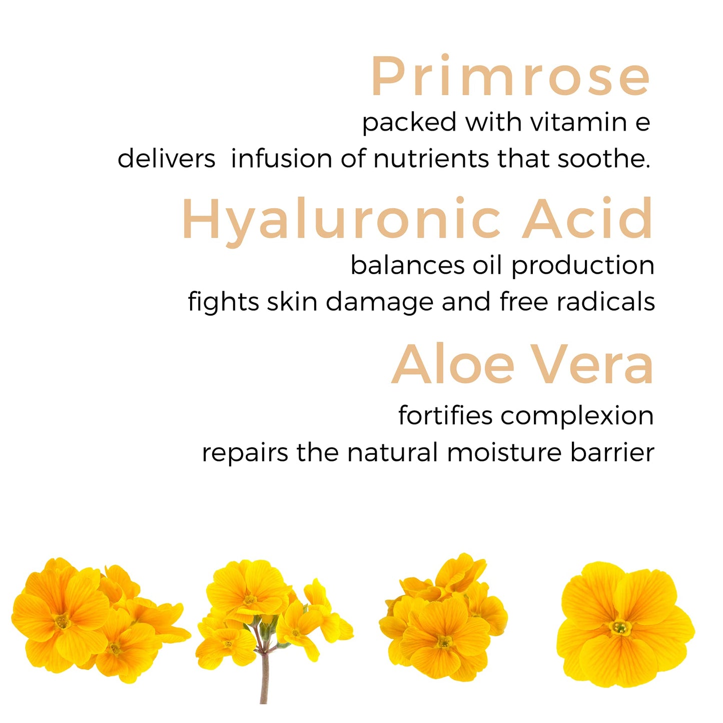 Georgette Klinger Primrose Anti-Aging Eye Cream - .5 oz