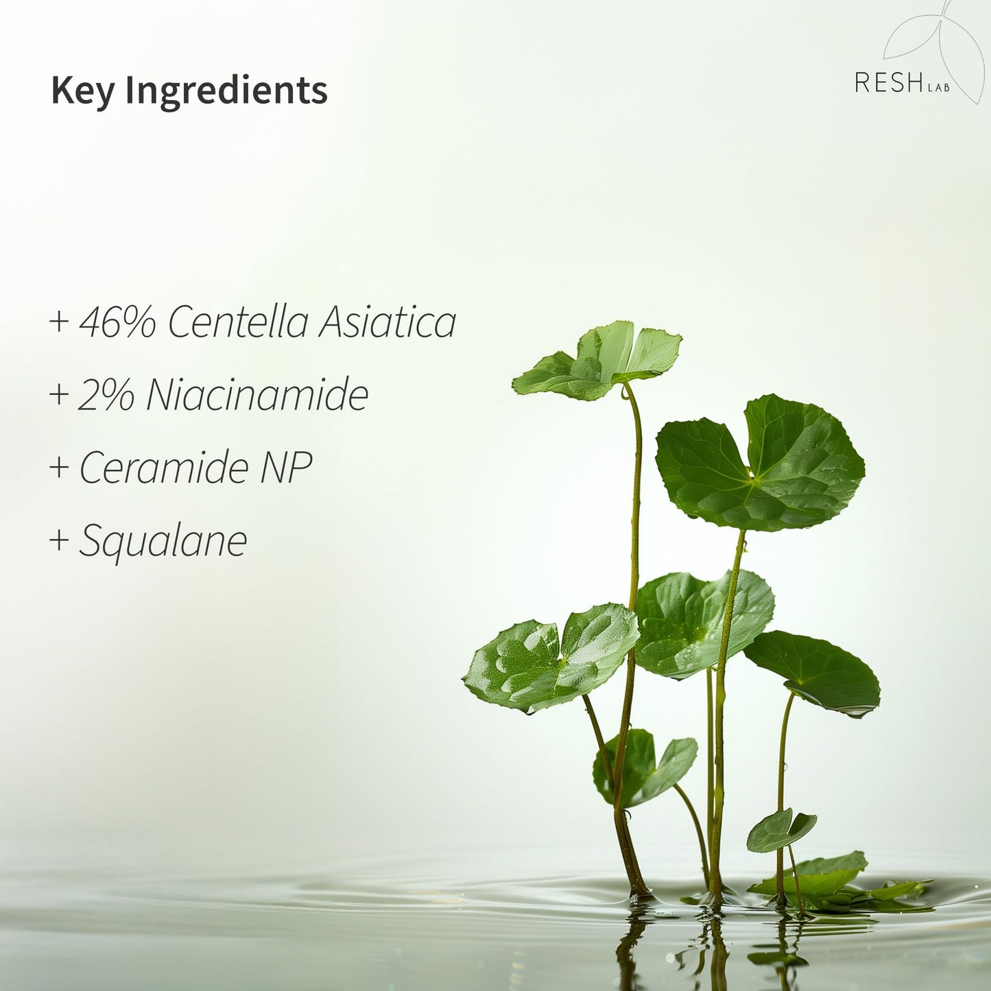 Korean Cica Repair Cream – Hydrating & Redness Relief Face Moisturizer | Soothing Daily Barrier Cream with Ceramide & Panthenol for Sensitive, Acne-Prone & Dry Skin – Fragrance-Free (50 ml)