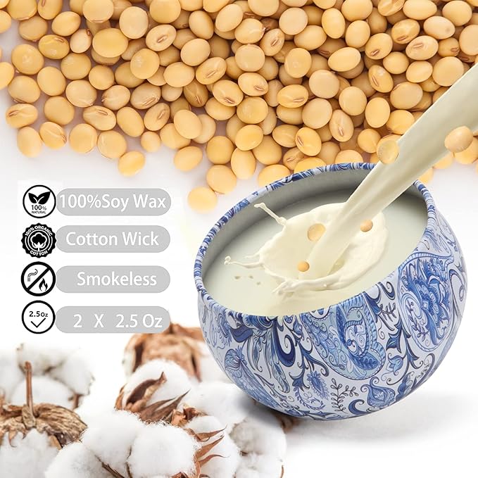 2 Pack Scented Candles, 2.5 oz Aromatherapy Candles for Home Scented, Natural Soy Candles with Floral Scents, Portable Small Jar Candle Set for Travel, Spa, Bath, Home Decor Tin Candle Pack