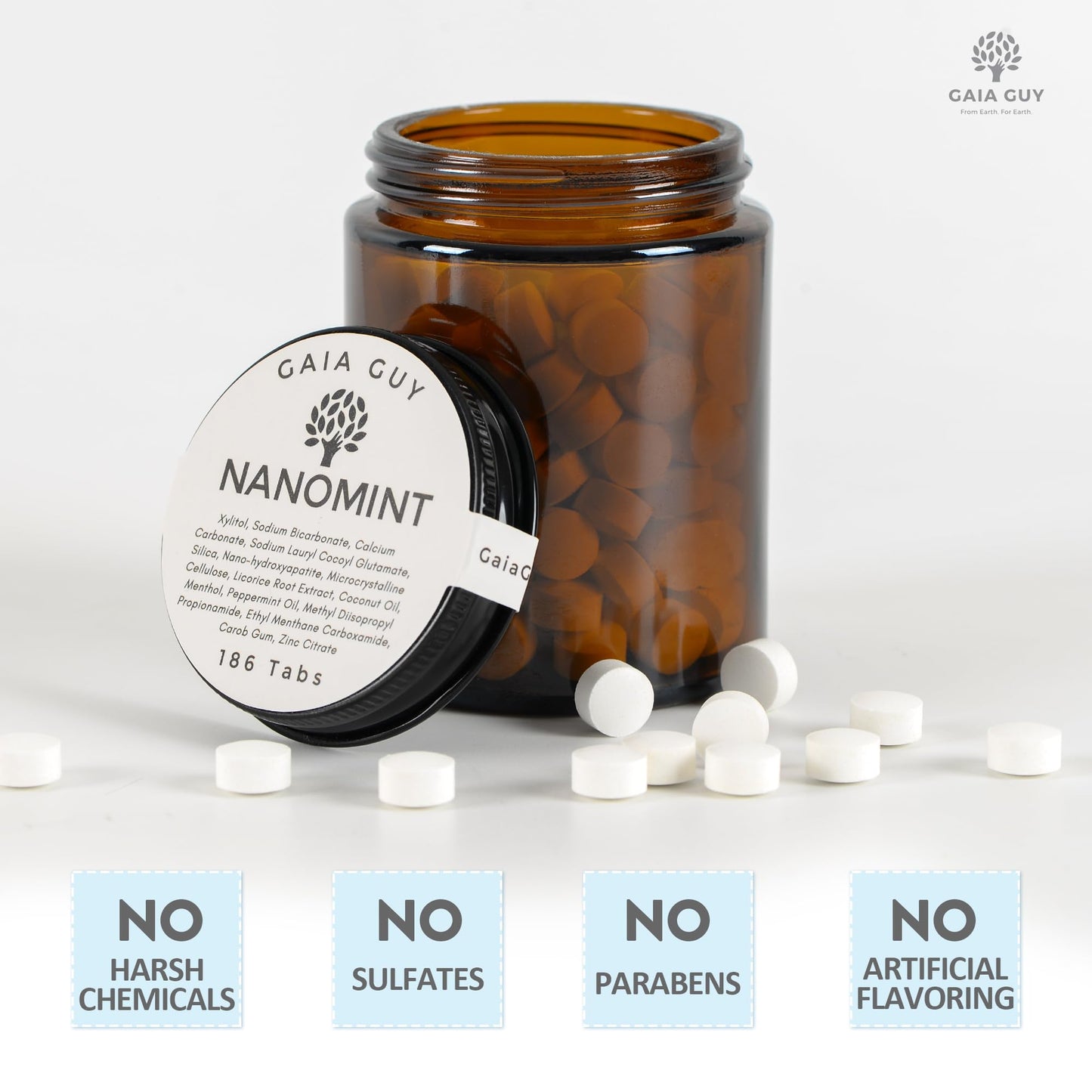 Gaia Guy | NanoMint Fluoride Free Toothpaste | Nano-Hydroxyapatite Remineralizing Toothpaste Tablets - Nano Hydroxyapatite (nHA), Plastic Free, Eco-Friendly Glass Jar | 186 Tabs