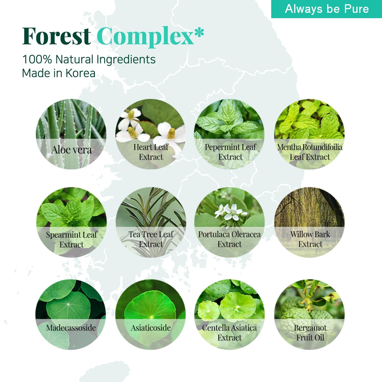 ALWAYS BE PURE Forest Therapy Ultra Calming Cream Soothing Moisturizer for Sensitive, Acne-Prone Skin - Redness Relief, Deep Hydration, Trouble Care - Korean Skin Care 2.70 Oz