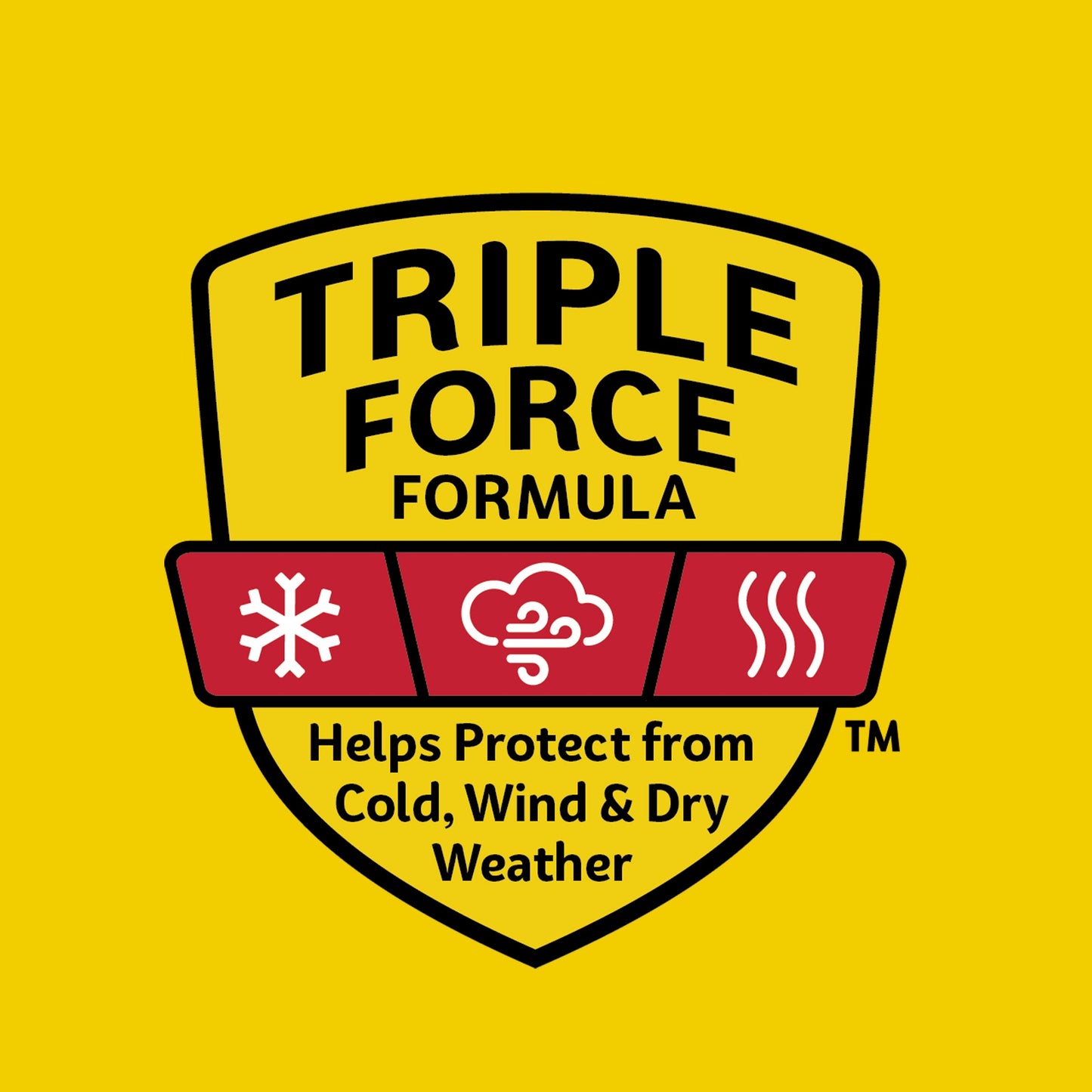 Carmex Classic Medicated Lip Balm Sticks, Lip Moisturizer for Chapped Lips, 9 Count (3 Packs of 3)