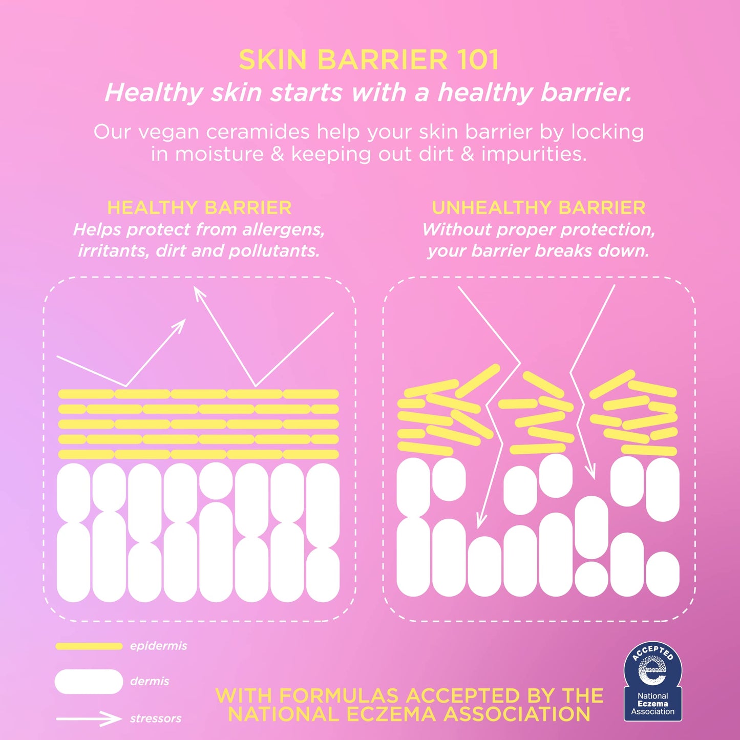 Pacifica Vegan Ceramide Barrier Eye Cream – Hydrating Under Eye Moisturizer for Dry, Sensitive Skin, Fragrance-Free Treatment for Dark Circles, Puffiness & Fine Lines Dermatologist Tested Clean Beauty