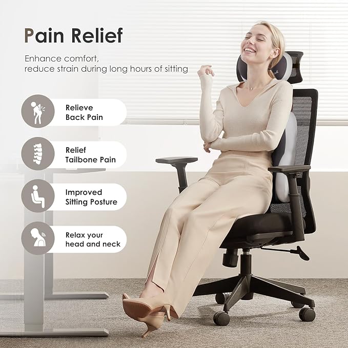 FLORICH Lumbar Support with Car headrest Back Pillow for Chairs Headrest Pillow for Car Ergonomic Ultrathick Memory Foam Back Pillow for Office Chair (Grey)