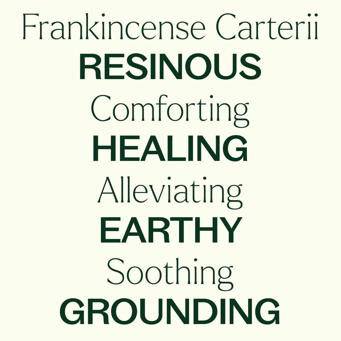 Plant Therapy Frankincense Carterii Essential Oil 100% Pure, Pre-Diluted Roll-On, Natural Aromatherapy, Therapeutic Grade 10 mL (1/3 oz)