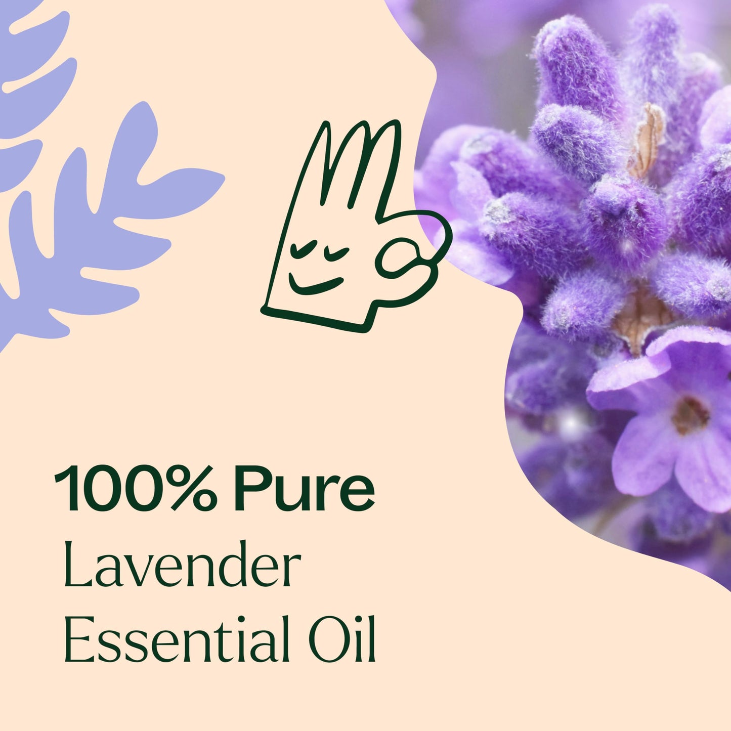 Plant Therapy Lavender Essential Oil 100% Pure, Pre-Diluted Roll-On, Natural Aromatherapy, Therapeutic Grade 10 mL (1/3 oz)