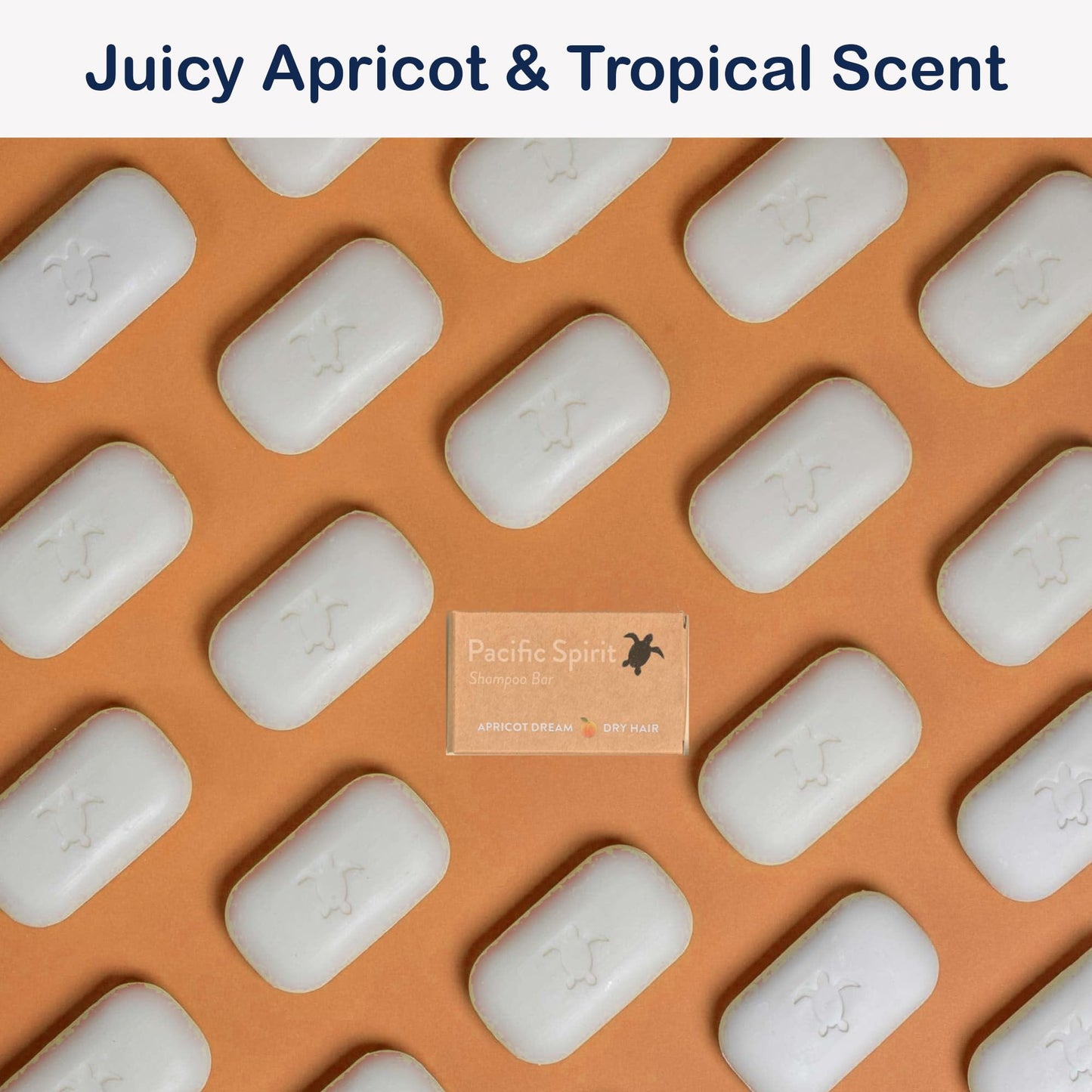 Pacific Spirit Moisturizing Shampoo Bar with Argan Oil for dry Hair - High Shine - Tropical Scent - SLS free, Sulfate-Free, Soap-Free, Zero Waste, Vegan, 3.53 Oz