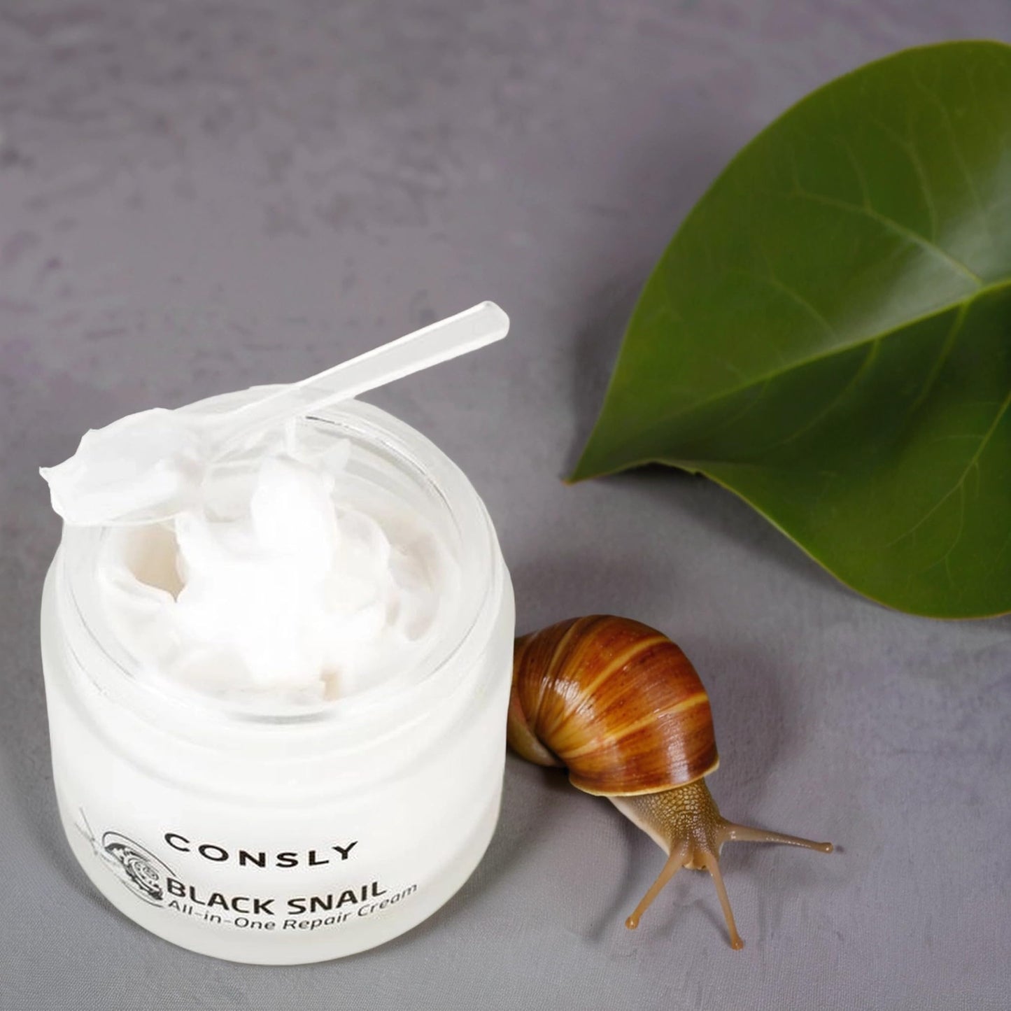 CONSLY_Black Snail All-In-One Repair Cream | Regenerating Moisturizer | Reduces Wrinkles | Improves Texture | Deeply Hydrating | For All Skin Types | 70ml