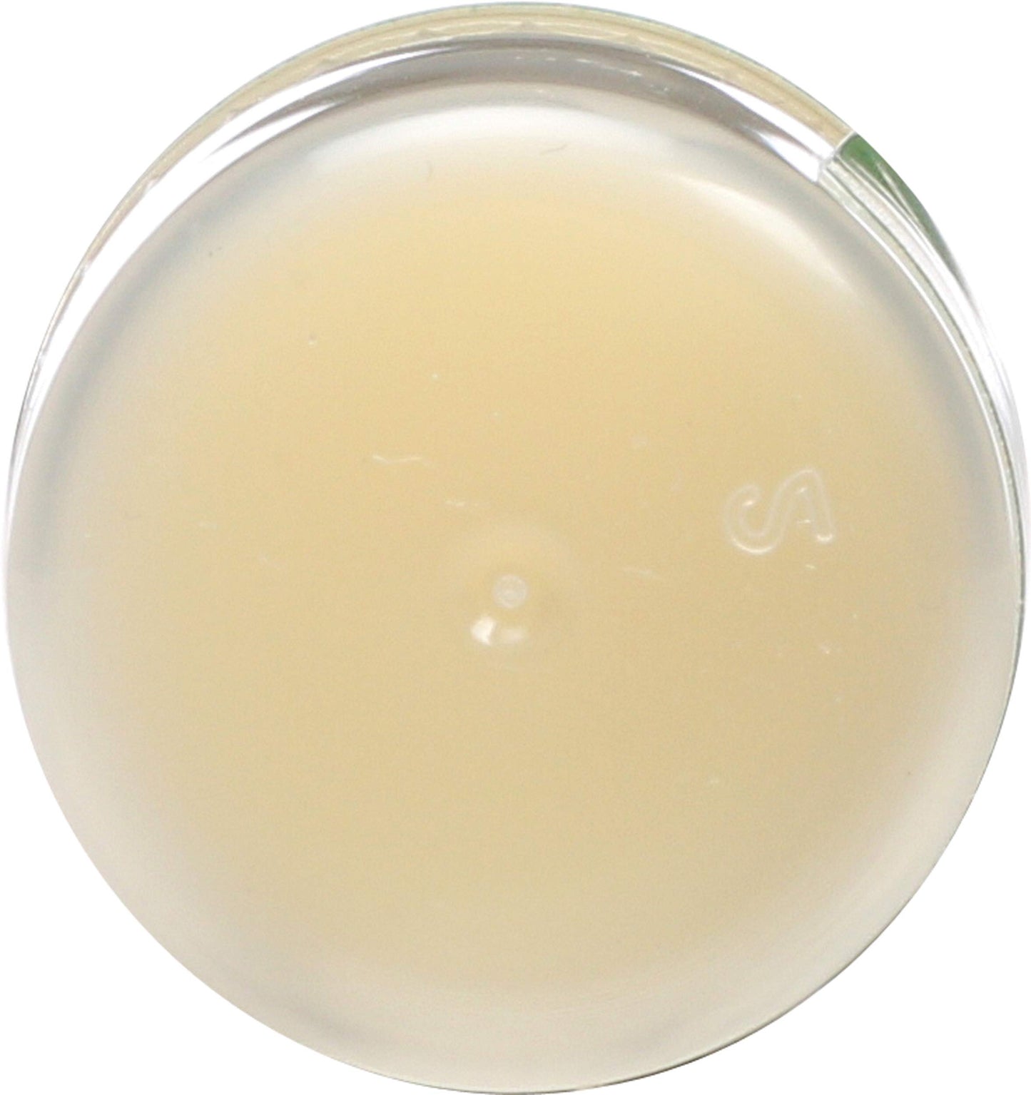 Eco Lips Organic Mongo Kiss Peppermint Lip Balm, USDA Certified Organic, 0.25 Ounce (Pack of 15)